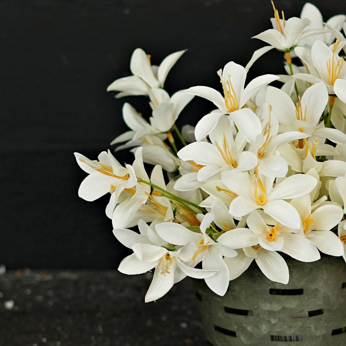 Tahitian Gardenia-Cream White