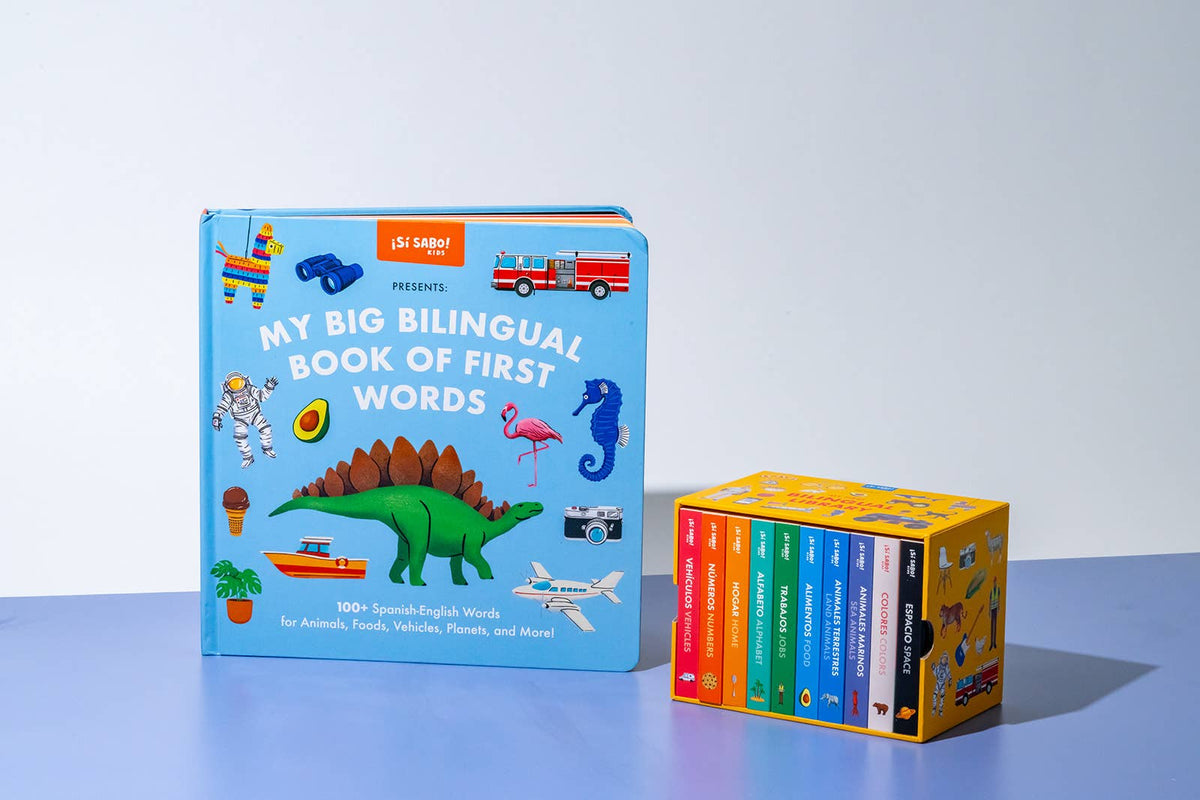 My Big Bilingual Book of First Words (English & Spanish)