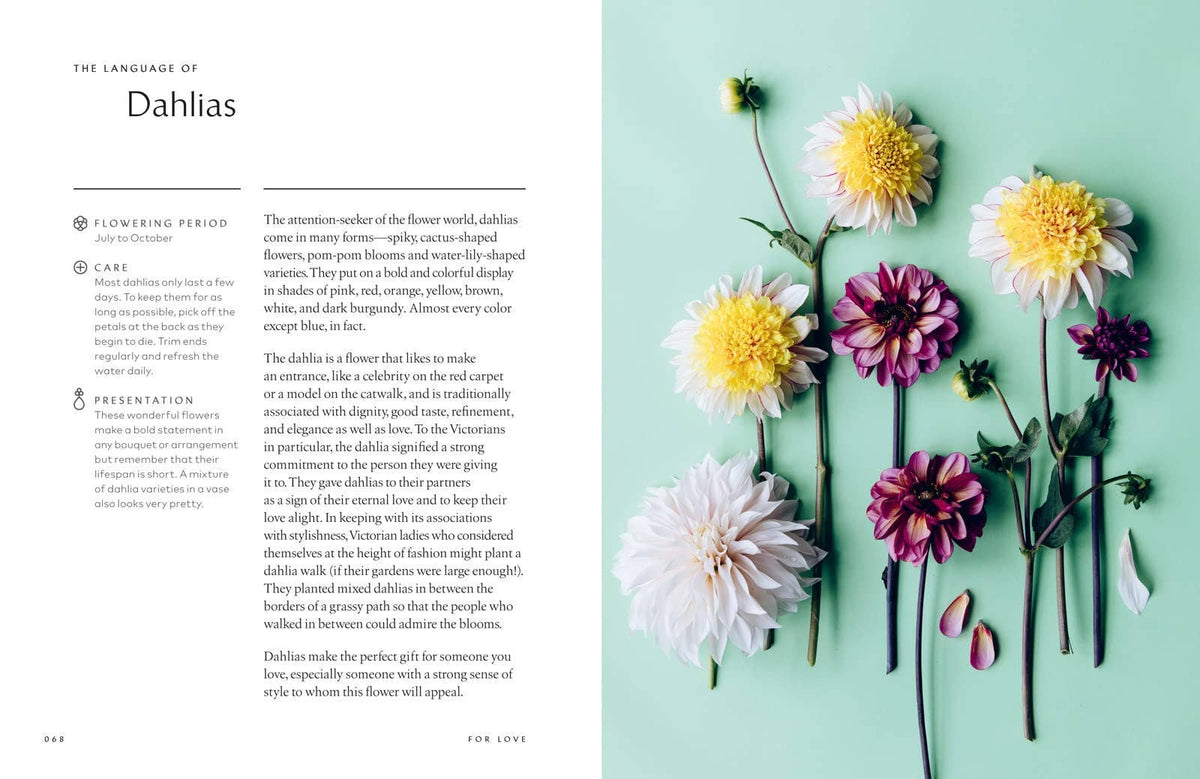 Healing Power of Flowers by Claire Bowen