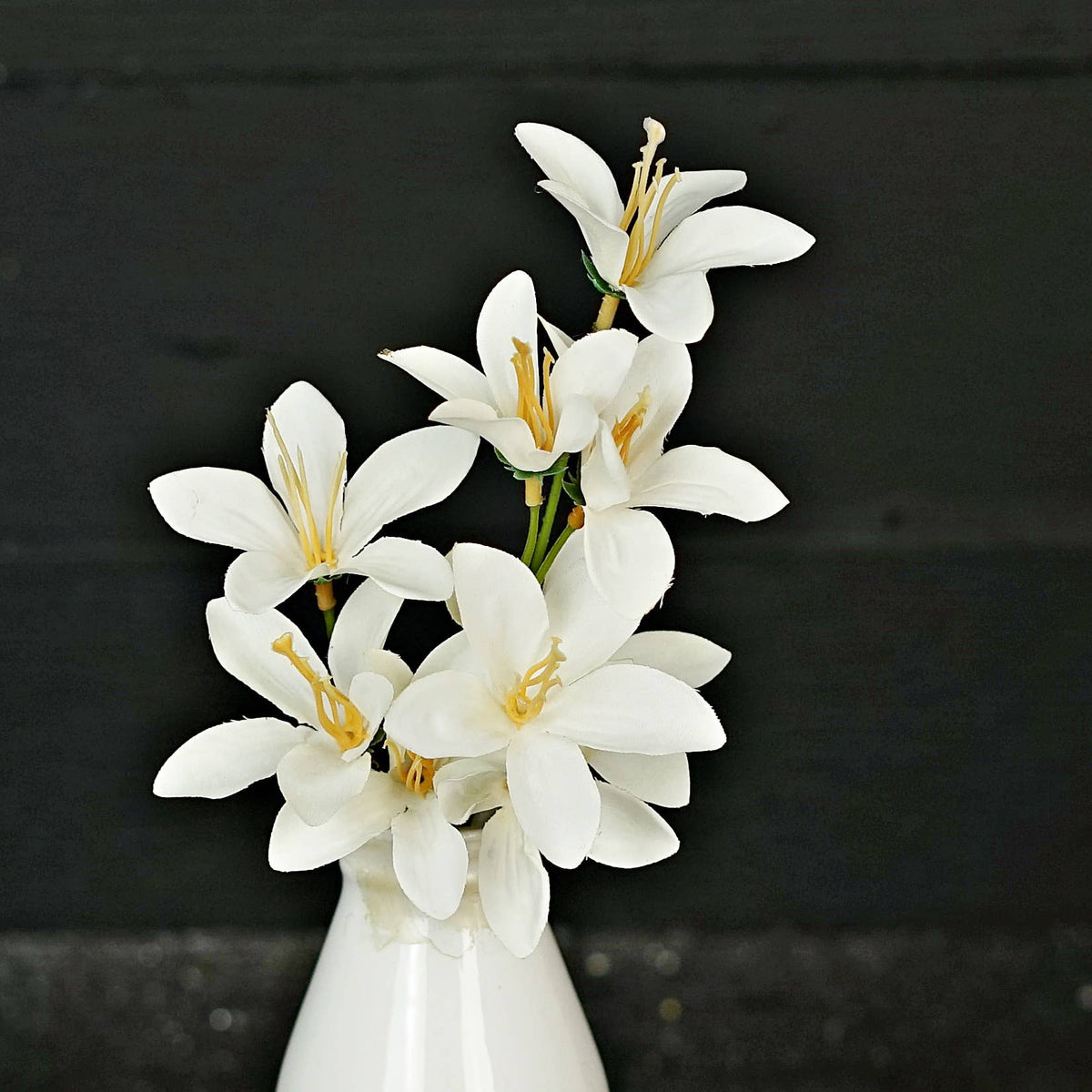 Tahitian Gardenia-Cream White