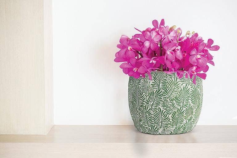 Green Leaf Planter