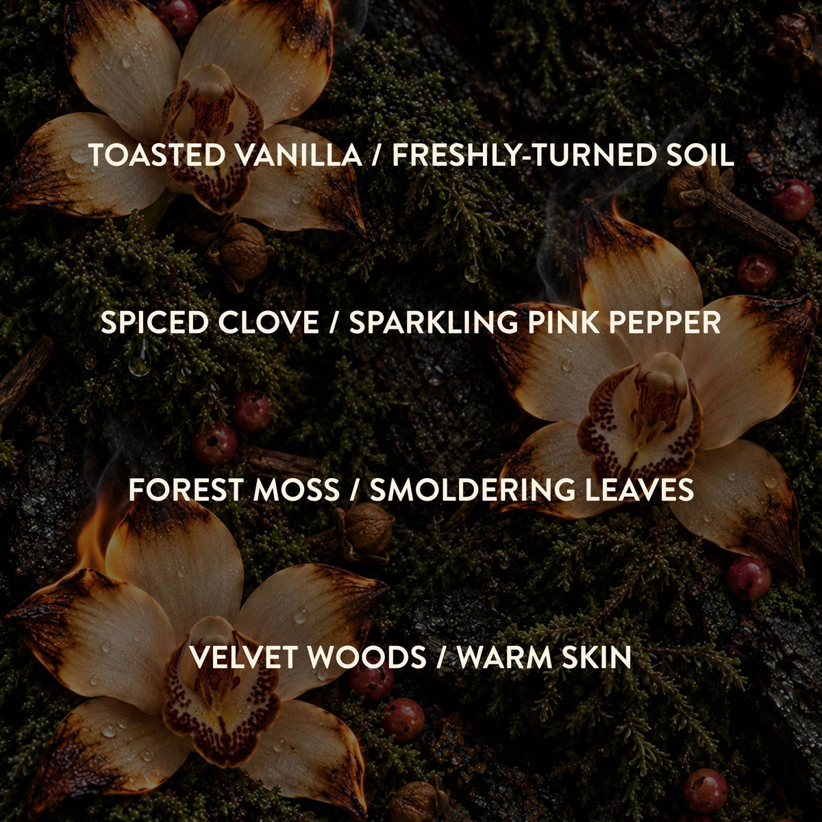 VELVET PONY Perfume – Toasted Vanilla, Forest Moss, Chai Tea