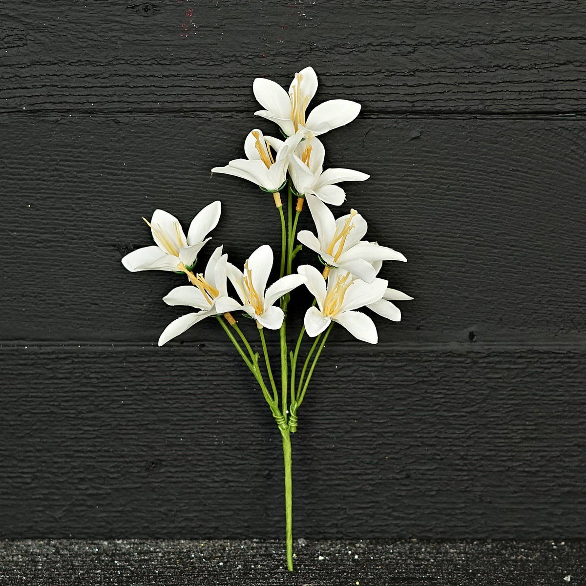 Tahitian Gardenia-Cream White
