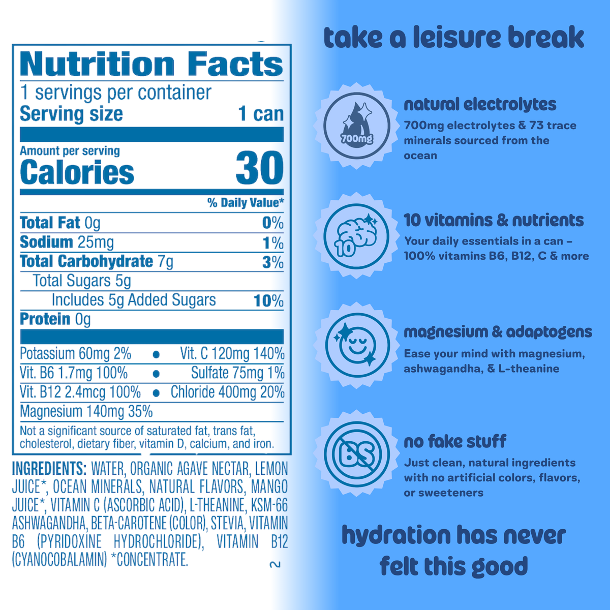Leisure Hydration Electrolyte Wild Blueberry