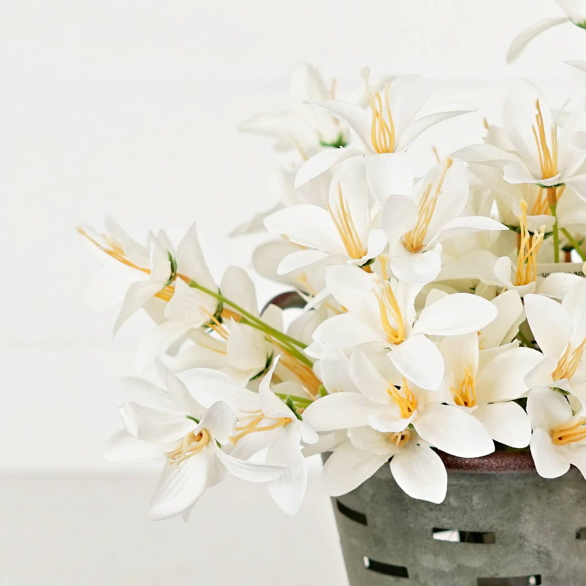 Tahitian Gardenia-Cream White