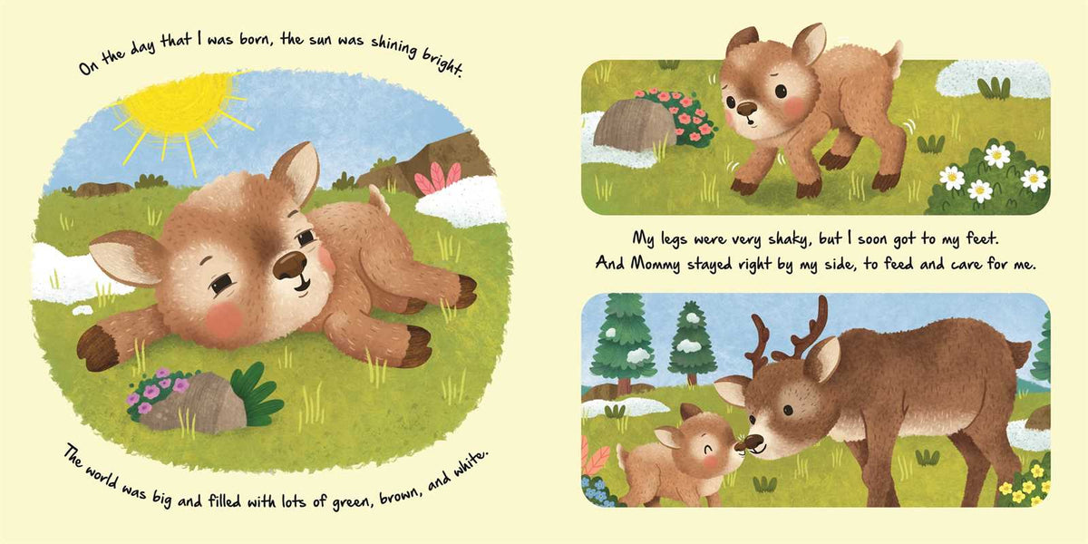 Nature Stories: Little Reindeer by IglooBooks