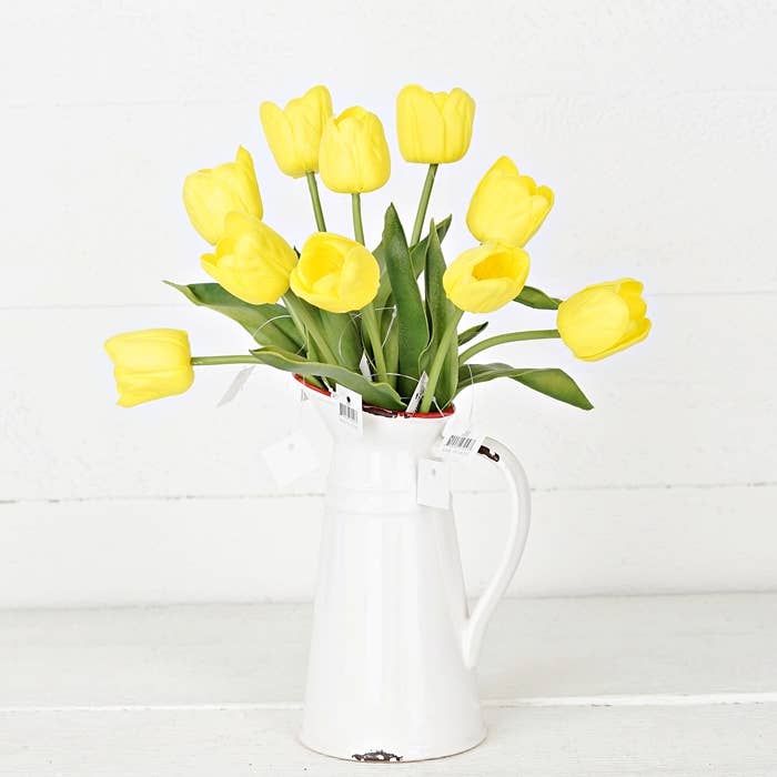 Tulip Bud -Yellow