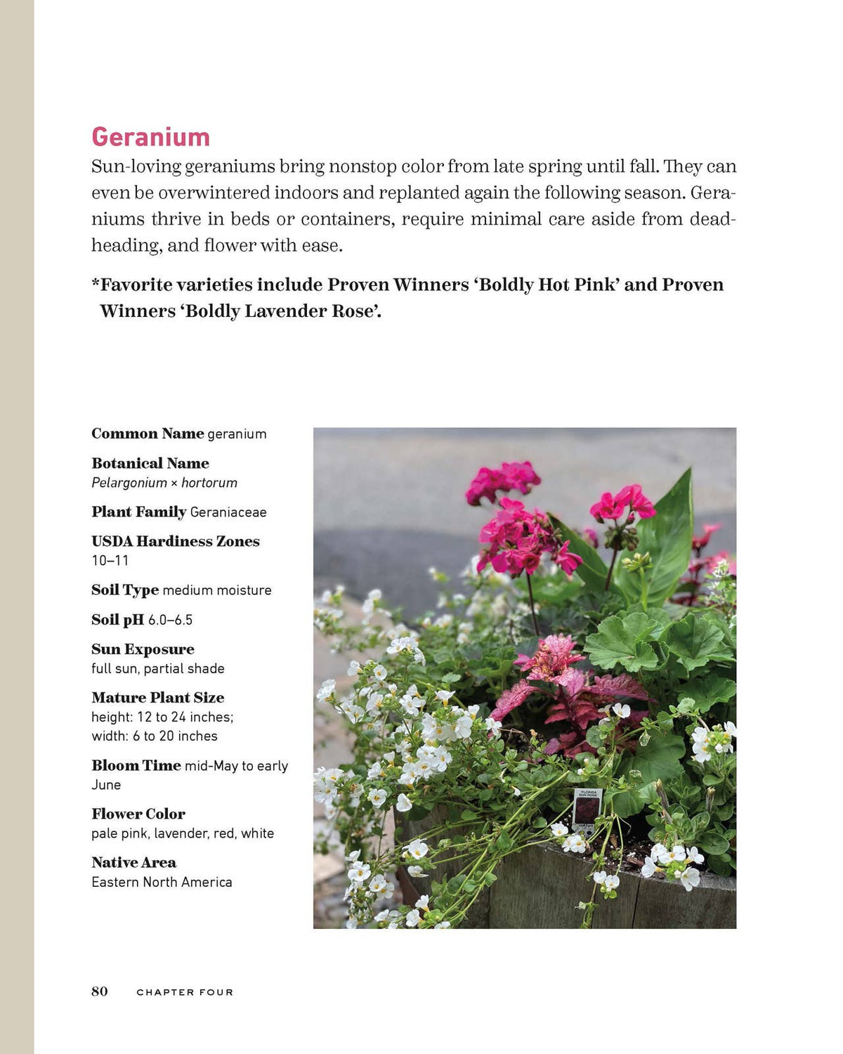 Bricks ‘n Blooms Guide/Beautiful & Easy Care Flower Garden