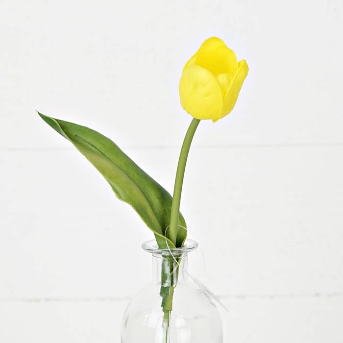 Tulip Bud -Yellow