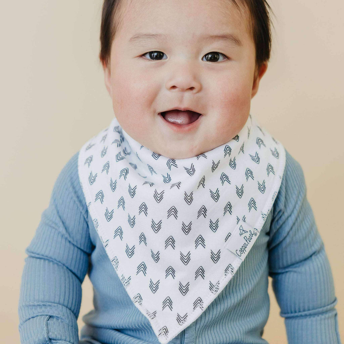 4 Pack Baby Bandana Bibs - Alta